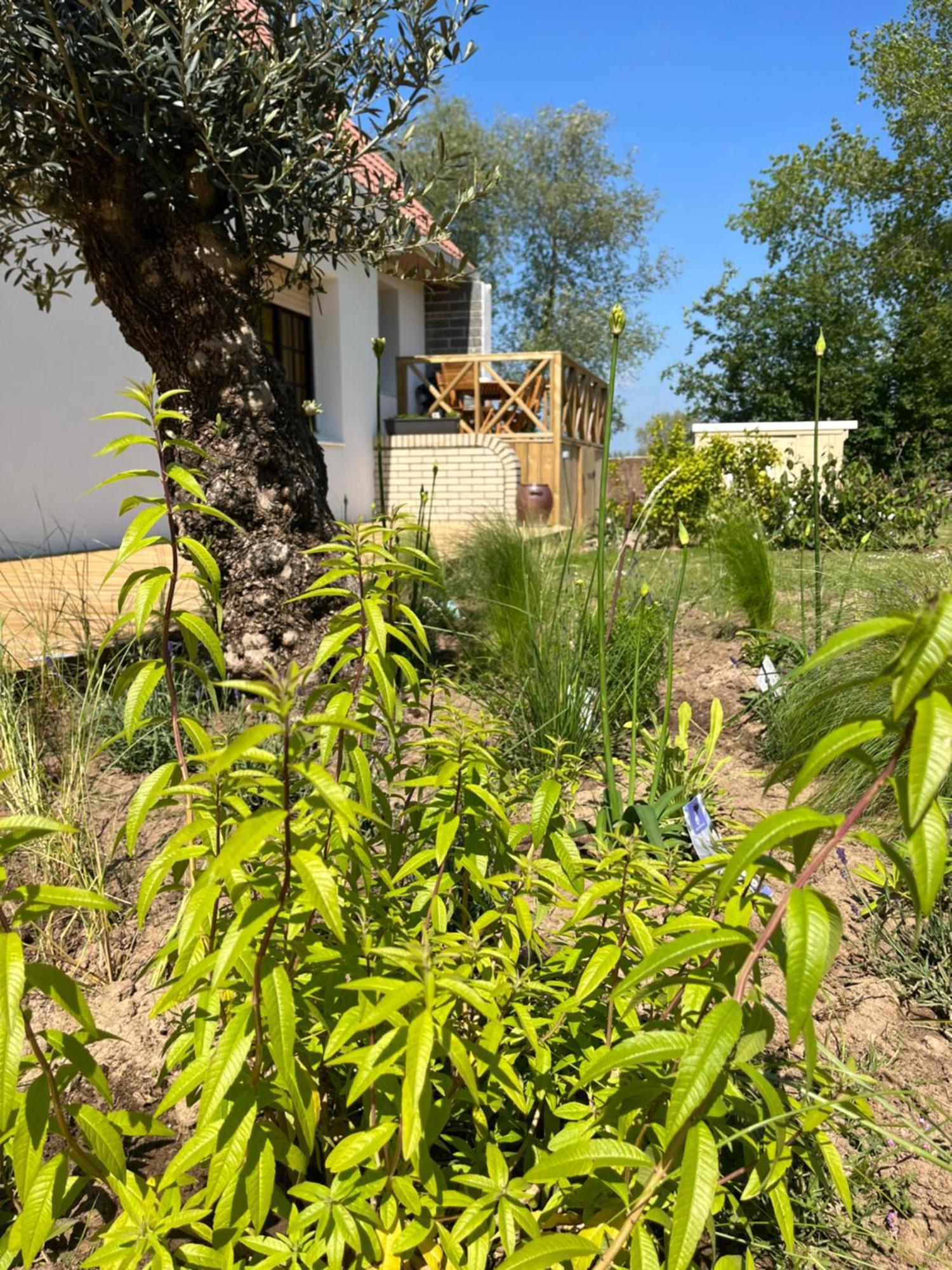 Gite Aimee De L'Etoile Villa Merlimont Exterior photo